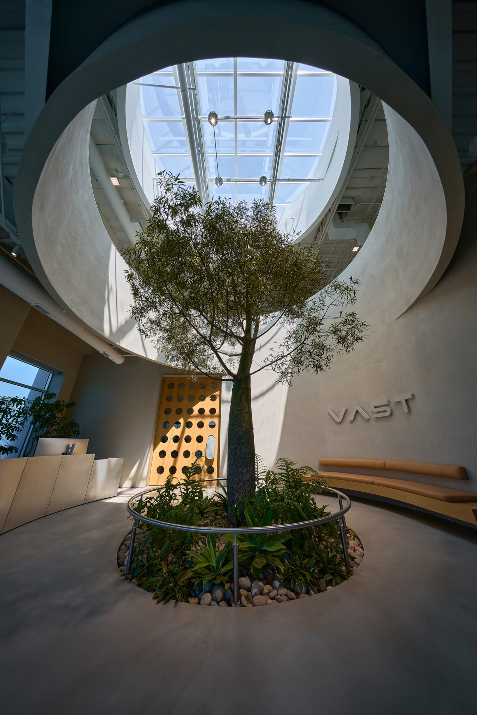 Photo of the lobby of Vast's headquarters in Long Beach, showing a room with chamfered corners, a tall tree planted in the ground, a circular oculus cut into the mezzanine above and a circular skylight beyond that