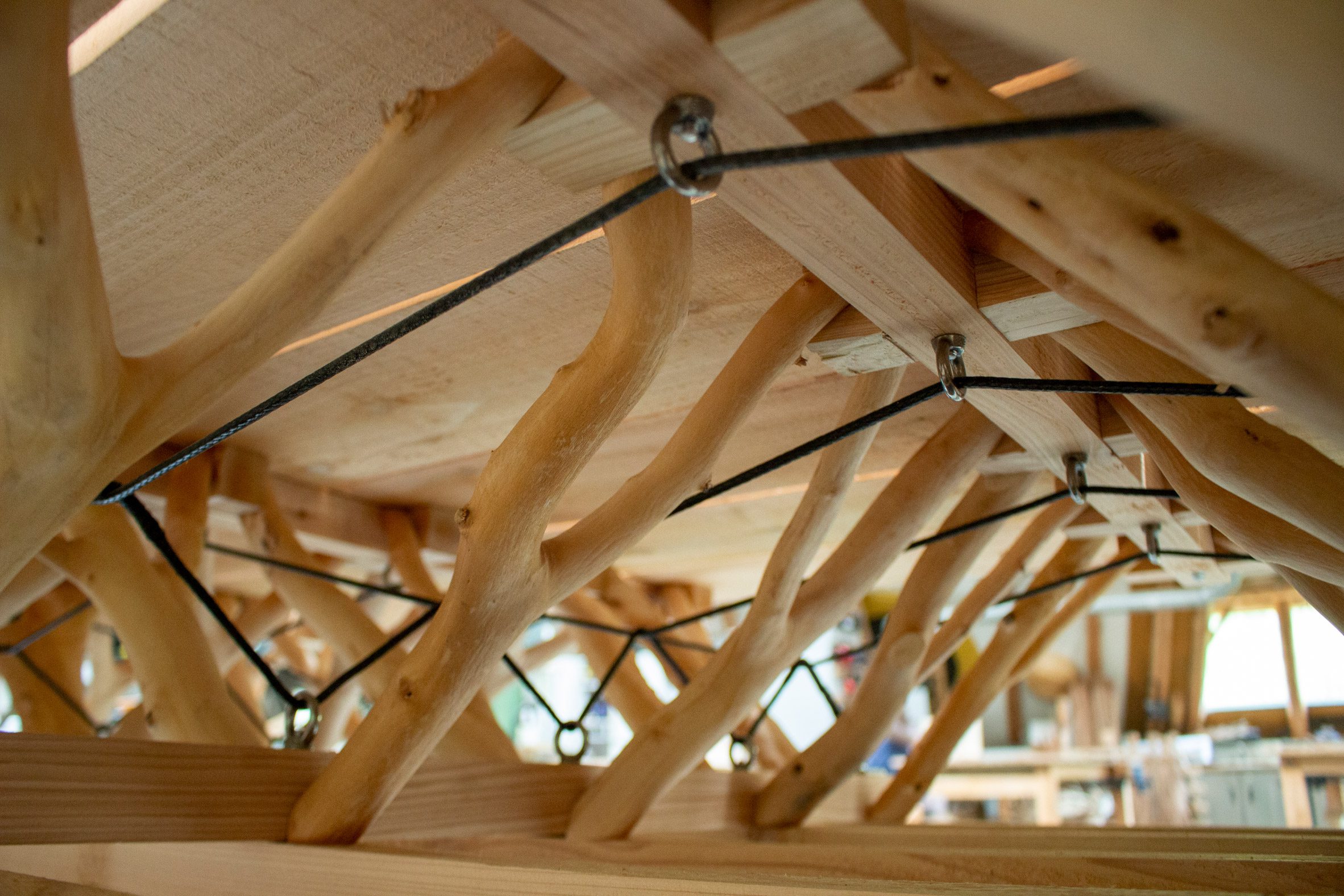 Close-up of the tree forks and tensioning system in A Forest Datum
