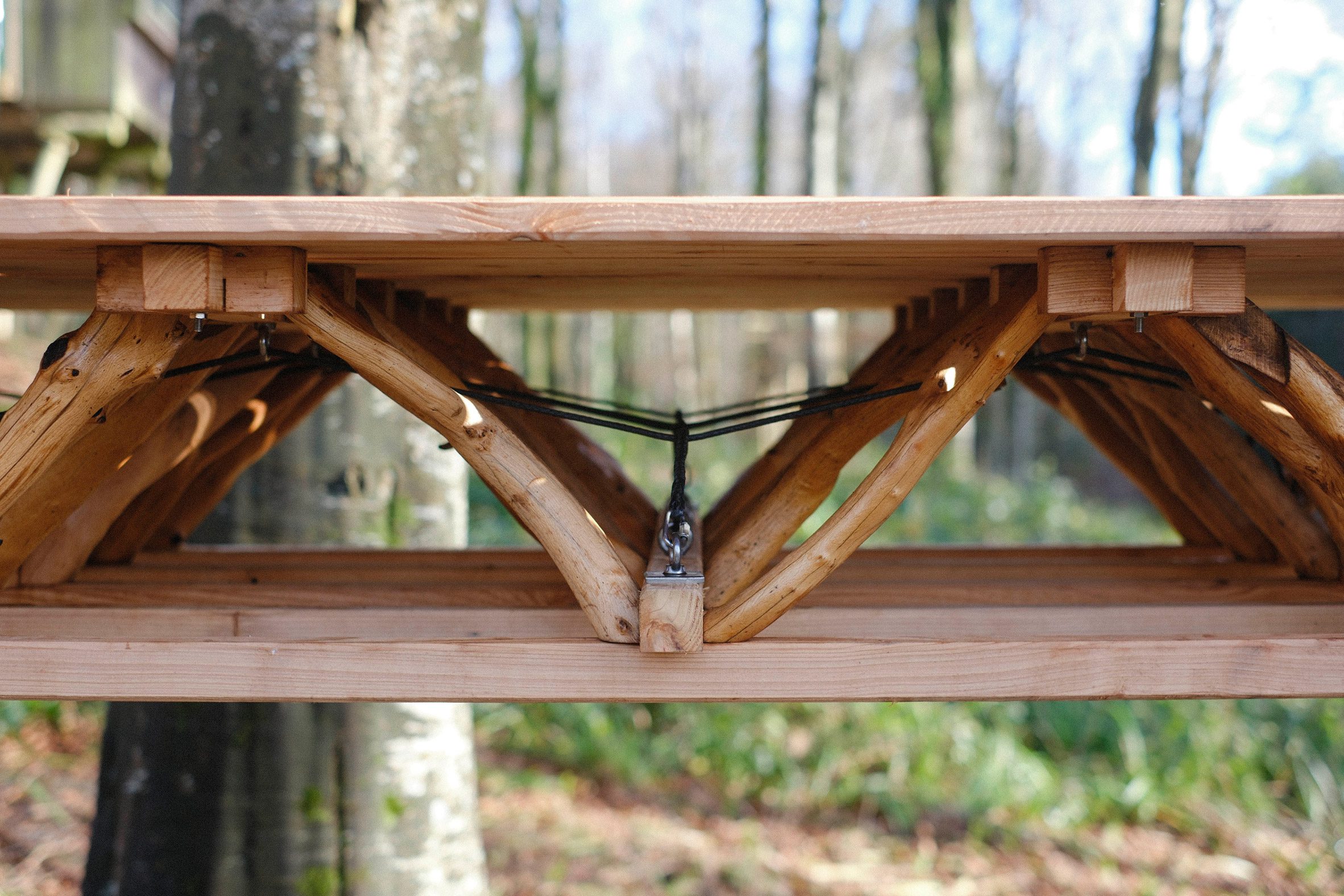 Close-up photo of A Forest Datum walkway showing tree forks supporting each other in a zigzag