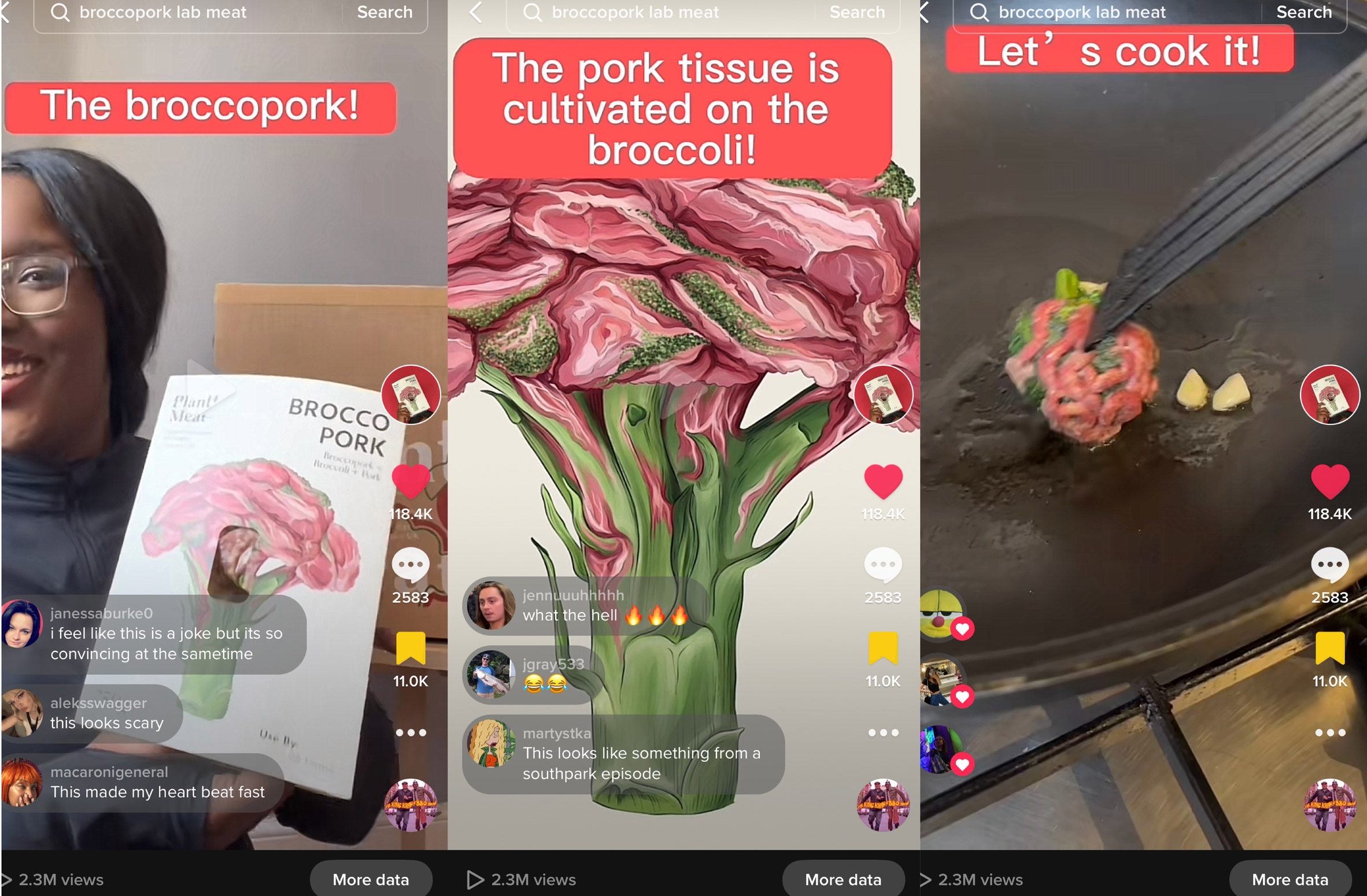 Leyu Li's TikTok