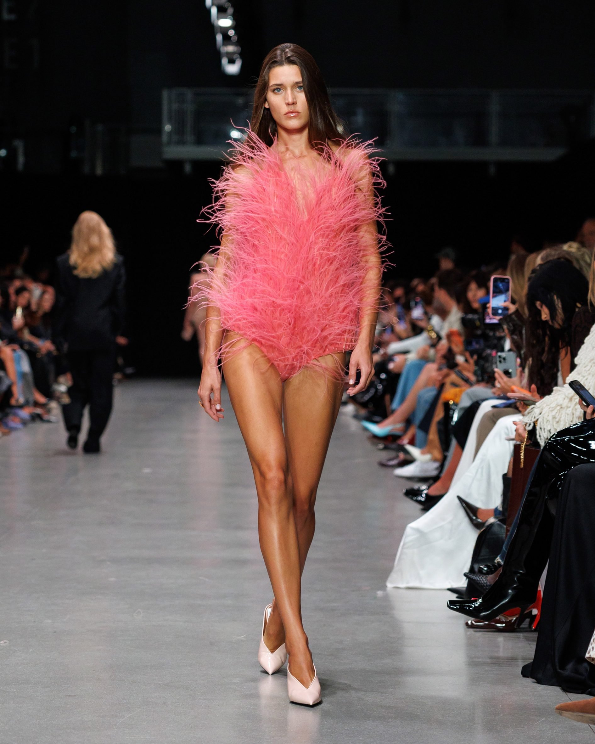 Pink bodice covered in feathers